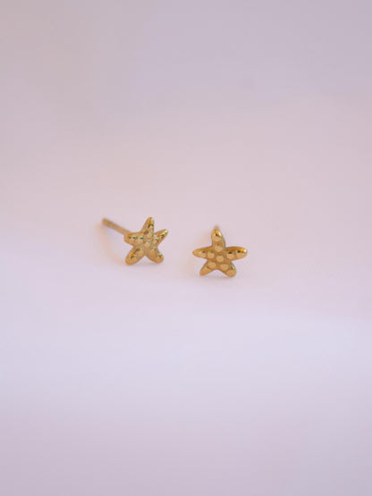 Brincos Mini Sea Star